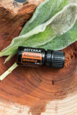 Lebensbaumöl - doTERRA Arborvitae