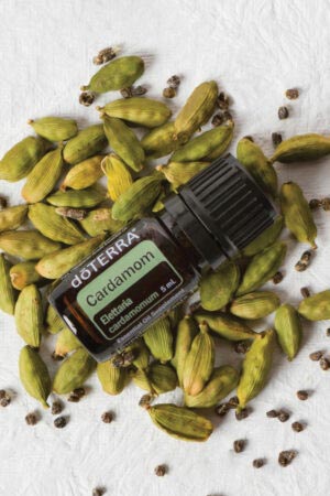 Kardamonöl - doTERRA Cardamom