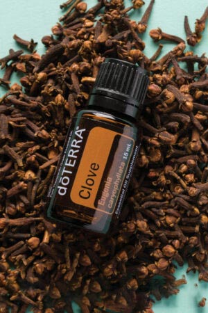 Gewürznelkenöl - doTERRA Clove