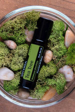 Teebaumöl Roll-On - doTERRA Tea Tree Melaleuca Touch