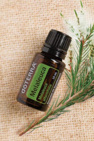 Teebaumöl - doTERRA Tea Tree Melaleuca