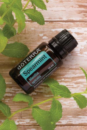 Grüne Minze-Öl (doTERRA Spearmint)